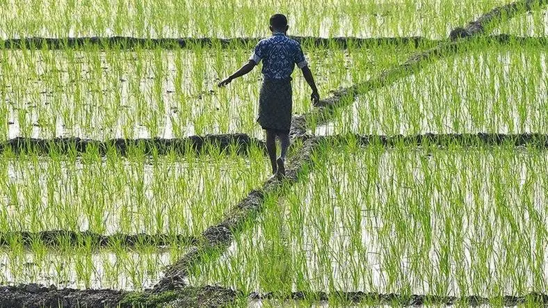 If farmers have greater choice to sell to whoever & wherever! Why still Farmers are protesting?