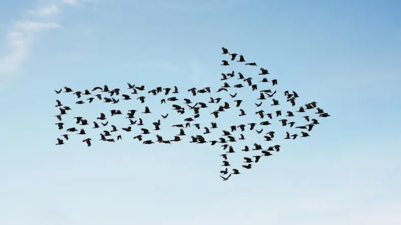 Migrate your site from Drupal 7 To Drupal 9?