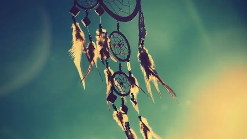 Dream, Small Information on it…