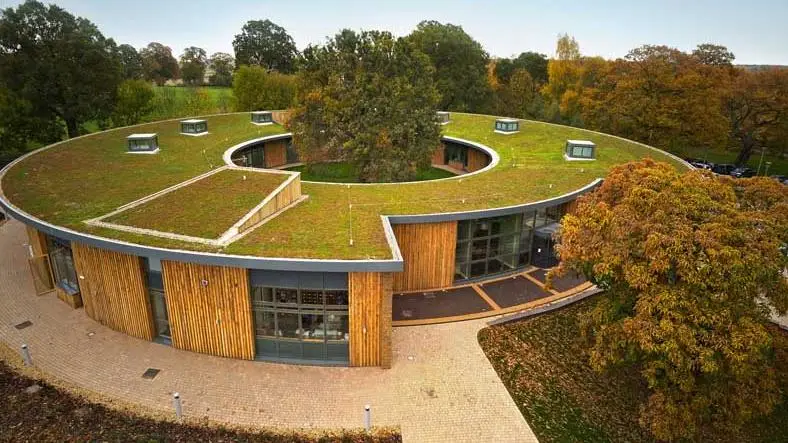 Why to have a Green roof or Eco friendly roof on a building