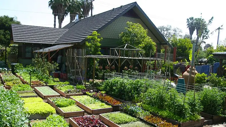 Growing Enough Food to Feed a Family Year-Round by Yourself