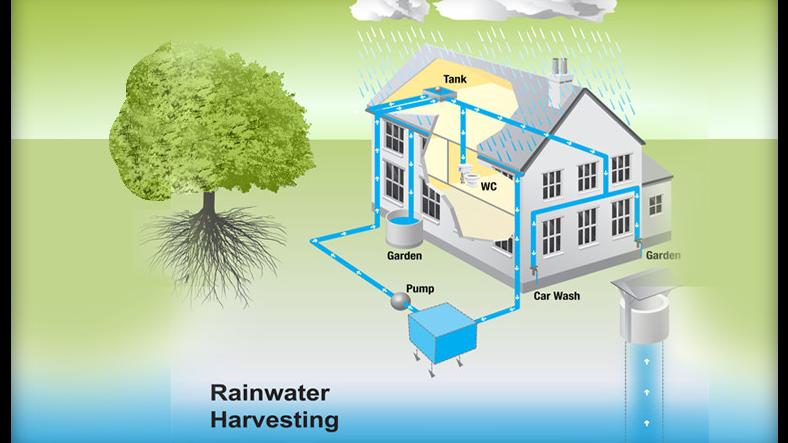 Rainwater Collection, Storage & Purification