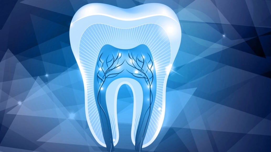 Is Banking Dental Stem Cells today is important?