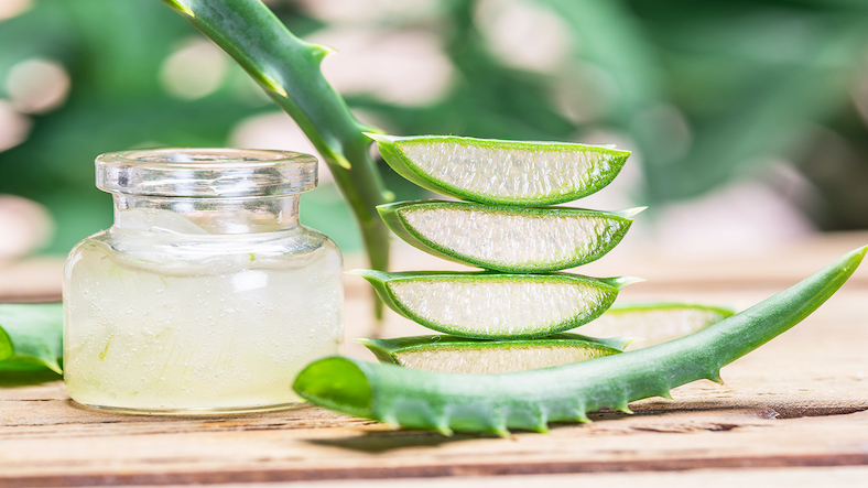Benefits of Aloe vera in Oral Health