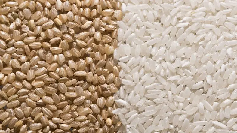 Brown rice vs White rice