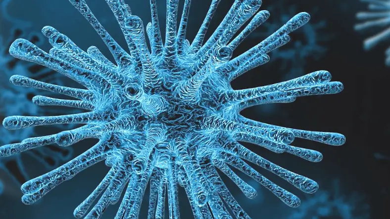 Studies estimate long COVID-19 has over two hundred Symptoms