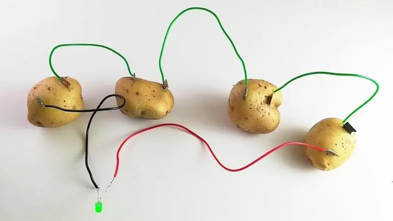 DIY Potato Battery: Build a Homemade Power Source with Kids