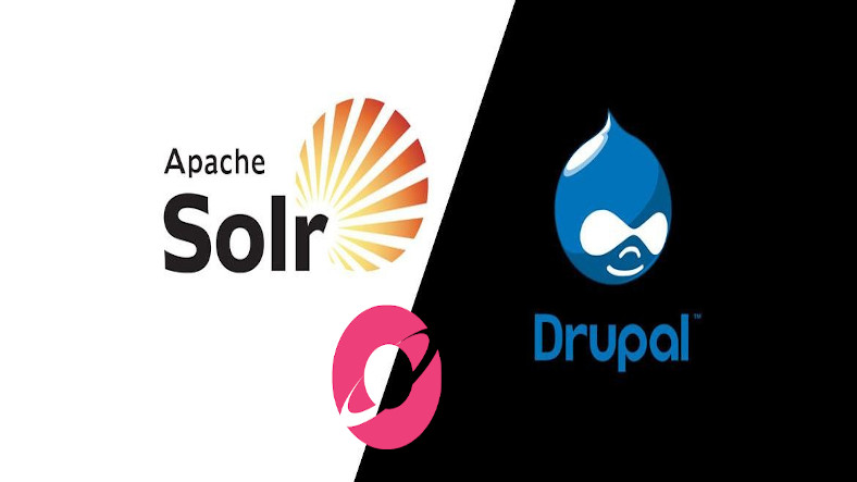 Improve Drupal Search with Solr, Locally configured via Lando