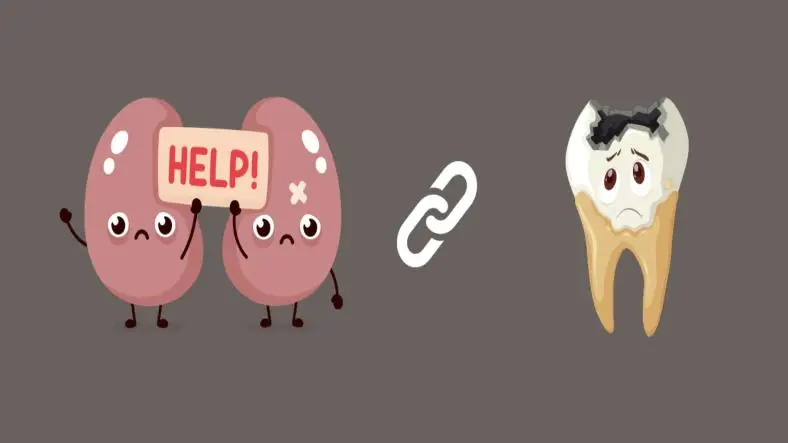 Exploring the link Between Oral Health and Kidney Health