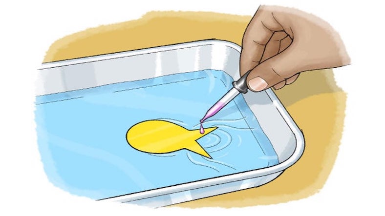 Floating fish, science experiment for children