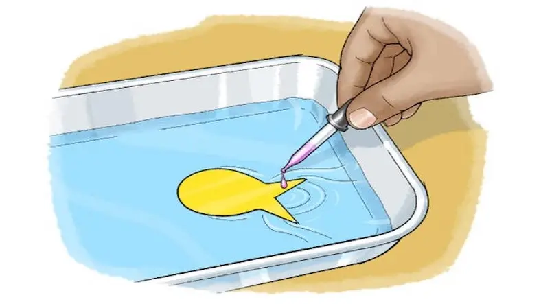 Floating Fish Experiment: Fun Science Activity for Kids