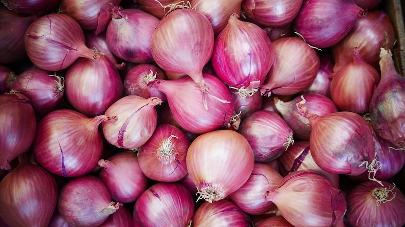 Growing enough Onions to Feed a Family by Yourself