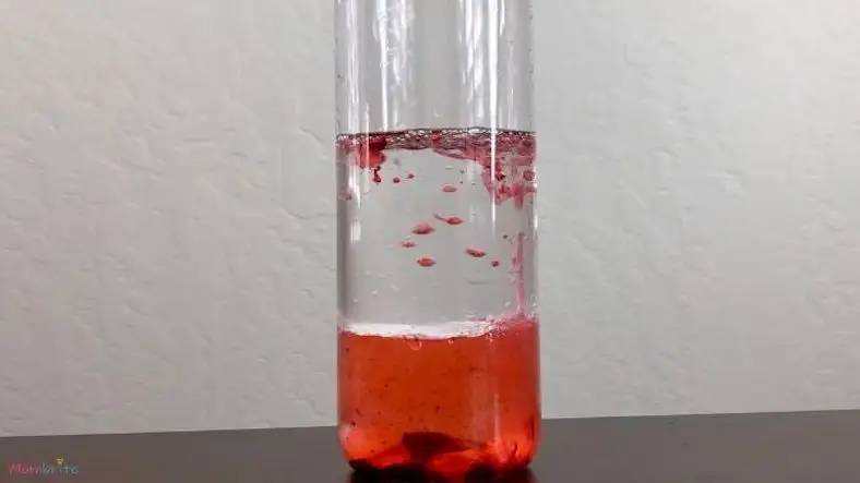 Homemade Lava Lamp Experiment for Kids: Learn About Density & Immiscible Liquids