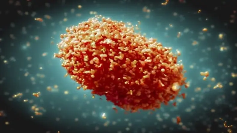 Monkeypox Outbreak around the World in 2022