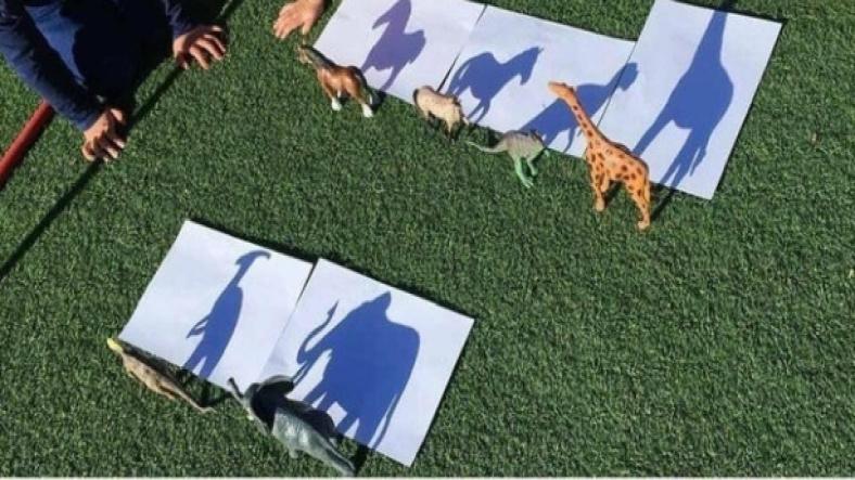 Shadow Tracing, science experiment for children Shadow Tracing, science experiment for children