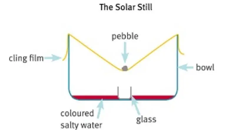Build a Solar Still: Water Purification Science Project for Kids