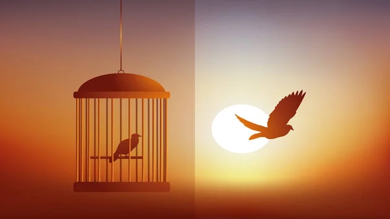 The Caged Bird and the Free Bird