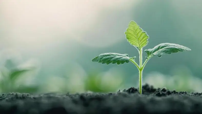 What are the Biggest Misconceptions People have about Life?