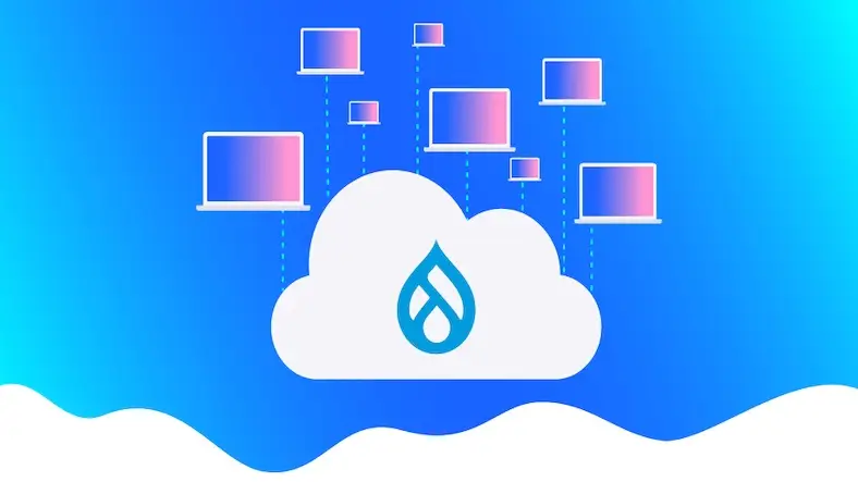 What to know before you choose a Drupal Hosting Platform?