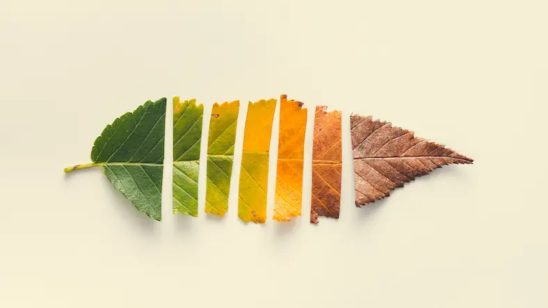 What will be Biggest Regret of Life